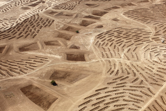 This Week in New Haven (October 3 - 9)