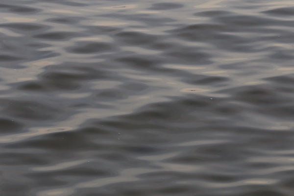 🦪 Above Water