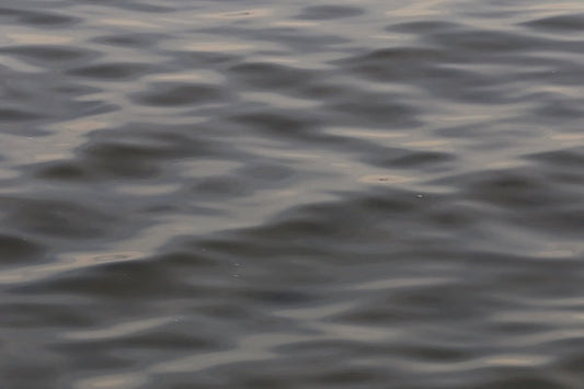 🦪 Above Water