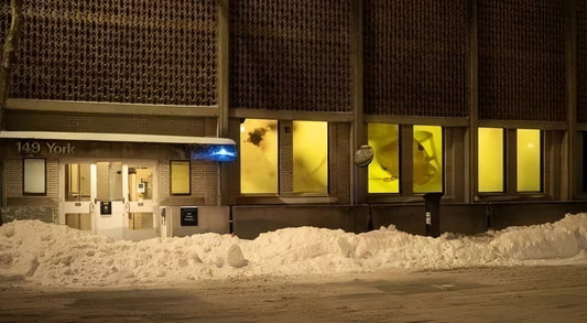 This Week in New Haven (February 2 - 8)