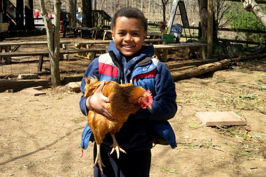 A boy and a chicken at Common Ground Urban Farm