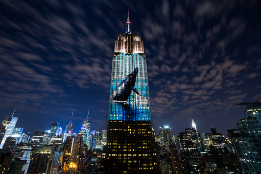 Racing Extinction screen cap