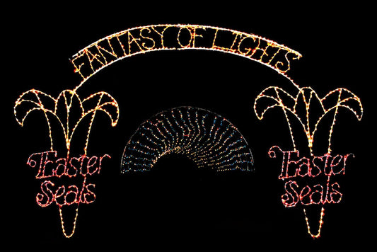 Fantasy of Lights