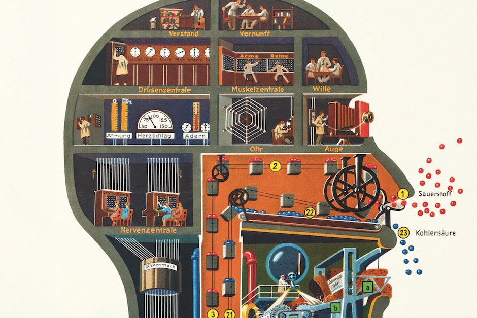 Fritz Kahn Poster