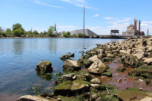 Mouth of the Mill River