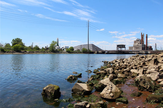 Something in the Water