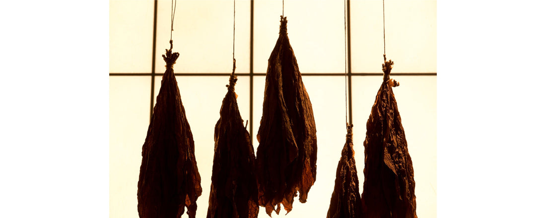 spain tobacco allowance Cigarette prices in Spain: Last updated June 2026