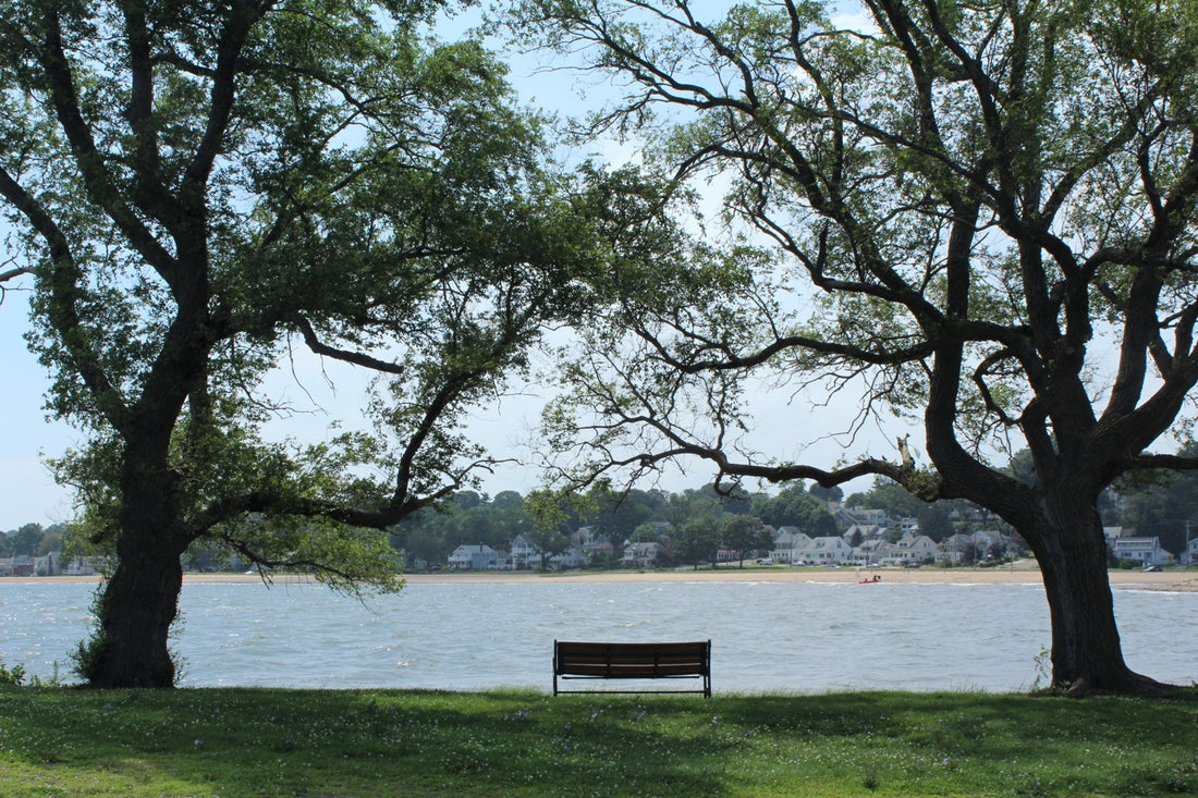 Savin Rock, West Haven