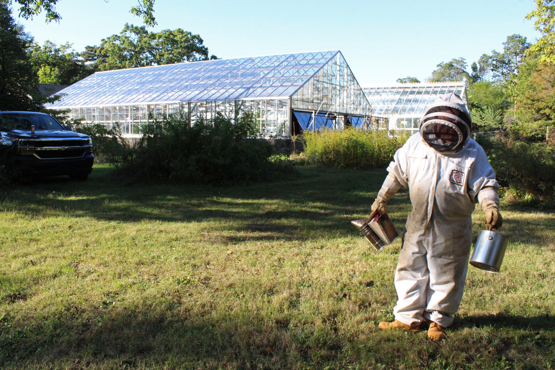 Vincent Kay of Swords into Plowshares Honey