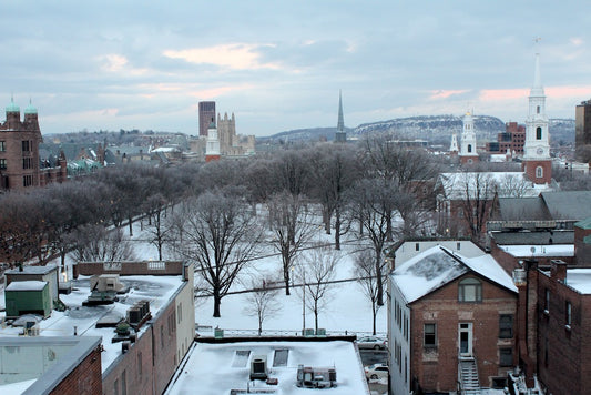 Downtown New Haven after snow