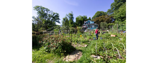 Farm Stand