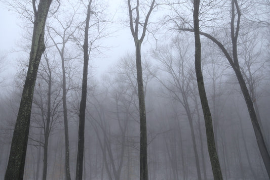 Fog on Wednesday