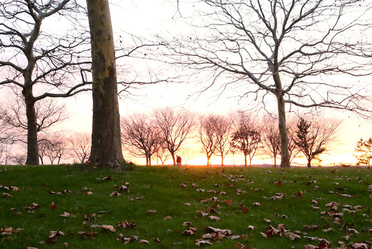 East Shore Park, New Haven