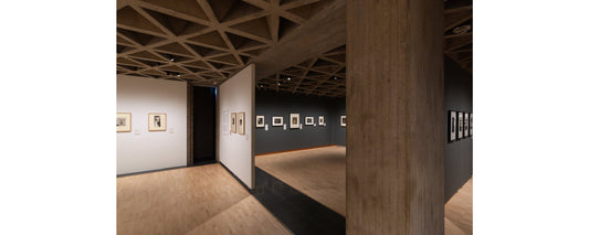 Black and White and Gray