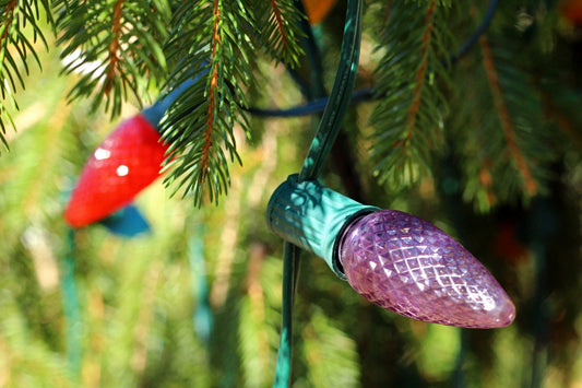 Deck the Boughs