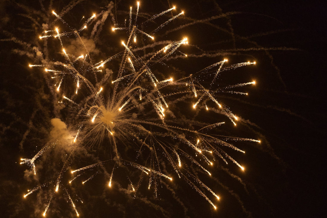 This Week in New Haven (June 29 - July 5)