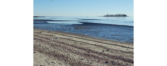 A Day at the Beach