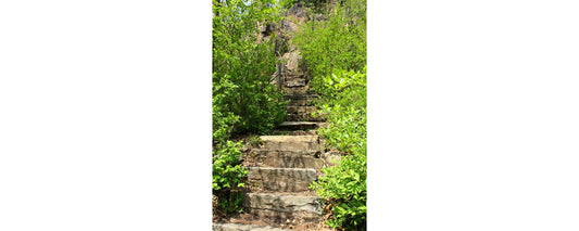 Spring in Steps