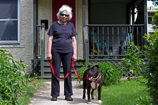 Alice Mattison in New Haven, Connecticut