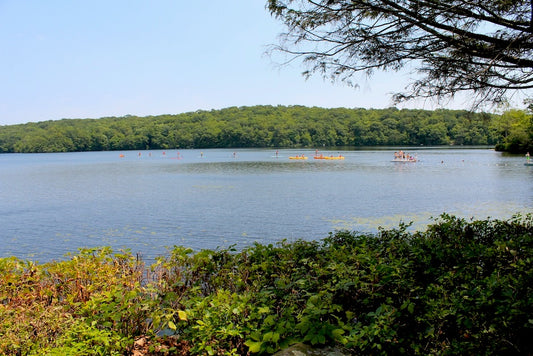 Yale Outdoor Education Center