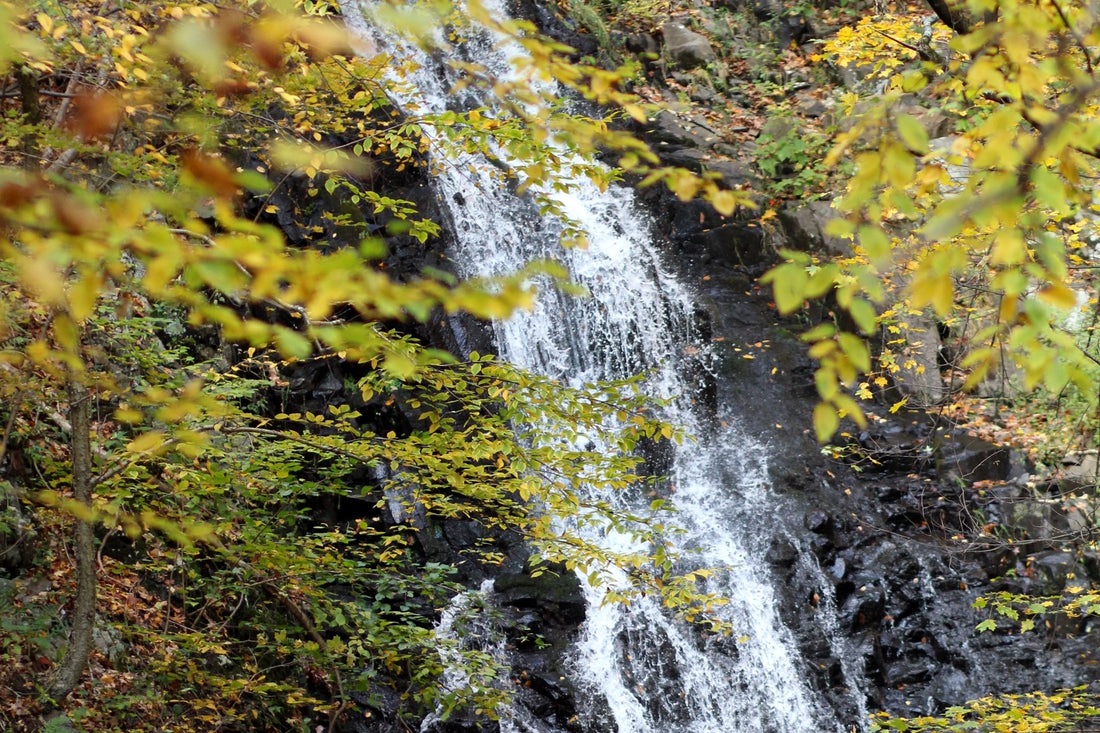 Foot Falls