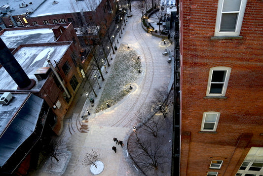 New Haven snowy alley downtown