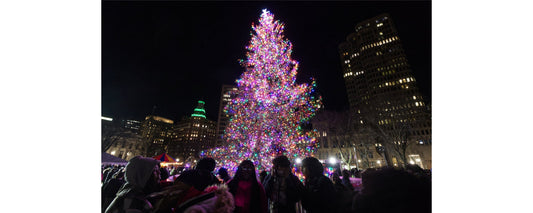 This Week in New Haven (December 1 - 7)