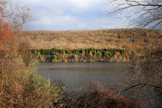 Lake Dawson and West Rock Ridge