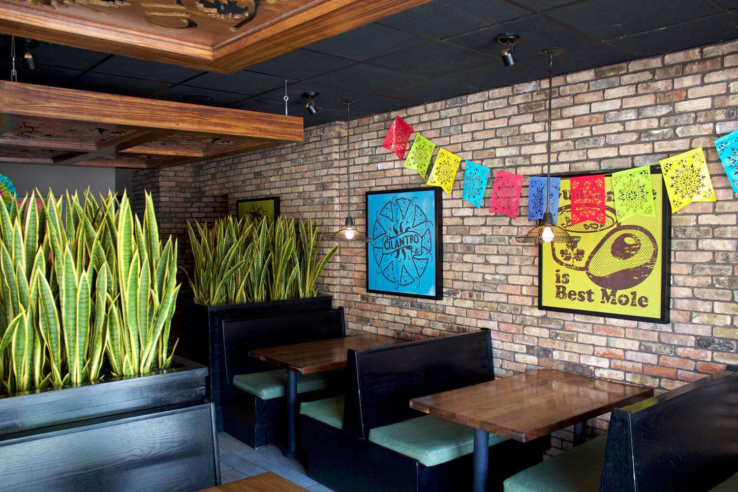 The Spice is Right – Daily Nutmeg