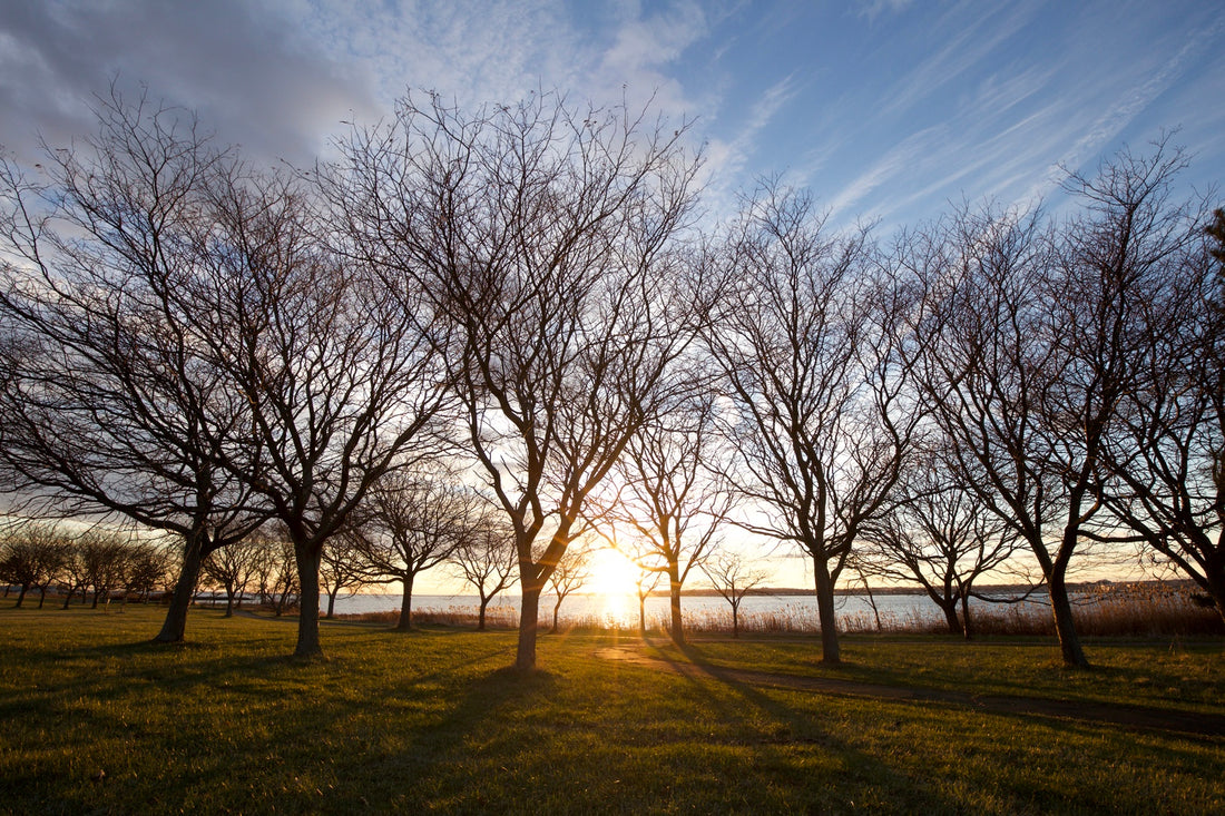 East Shore Park, New Haven, CT