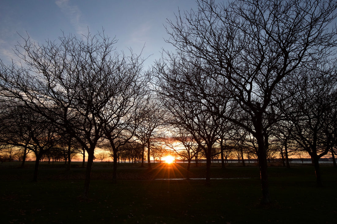 East Shore Park, New Haven, CT