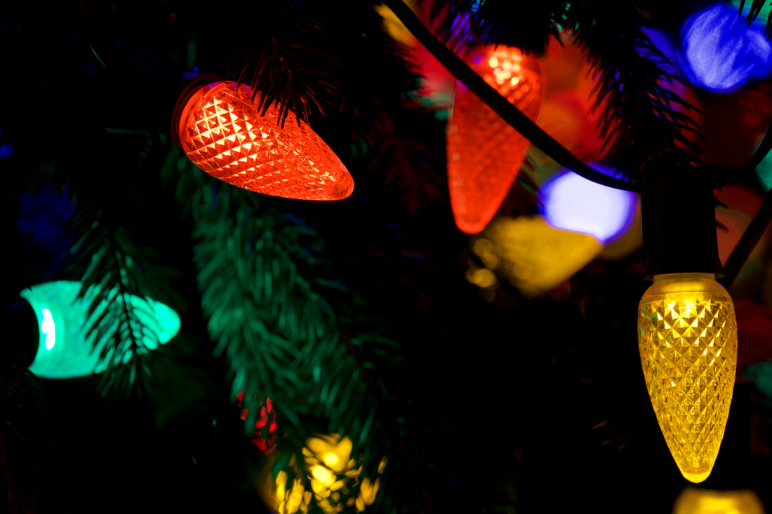 Christmas Tree Lights on the New Haven Green