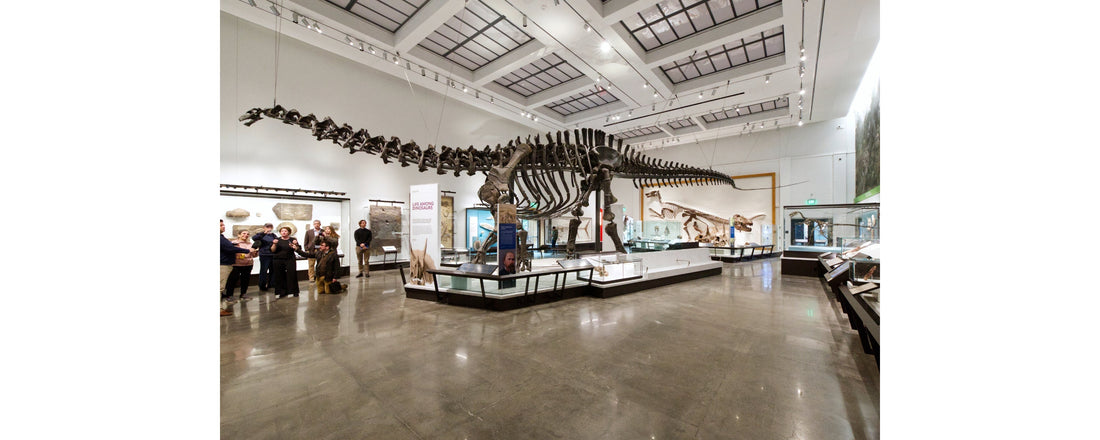 This Week in New Haven (October 20 - 26)