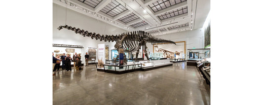 This Week in New Haven (October 20 - 26)