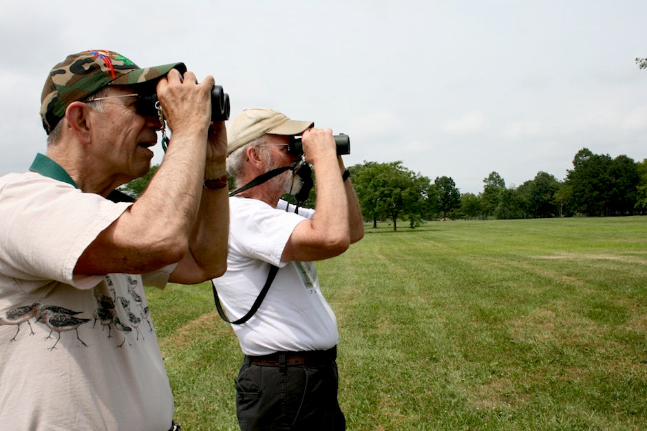 New Haven Bird Club