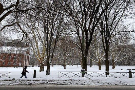 Snow on the New Haven Green