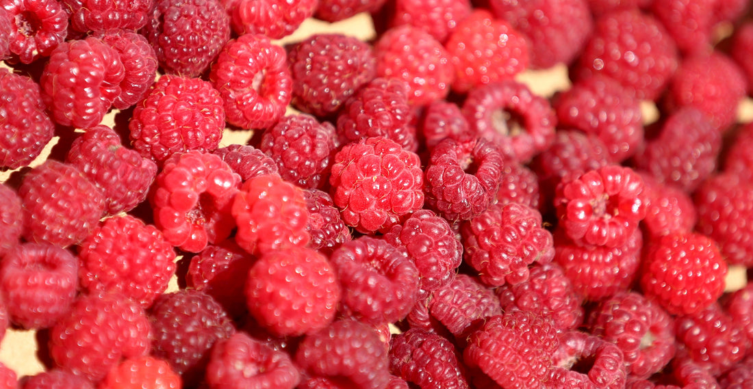 Berry Treasure