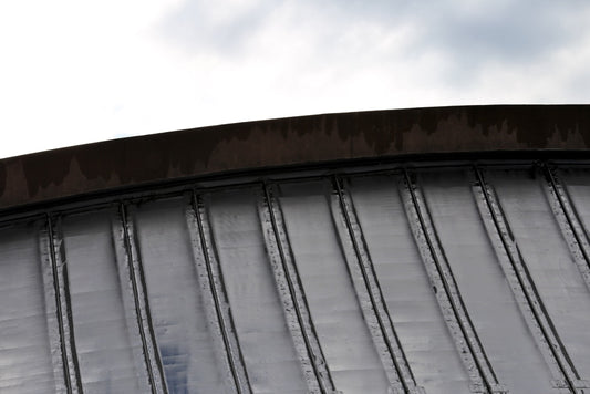 David S. Ingalls Rink, a.k.a. The Whale
