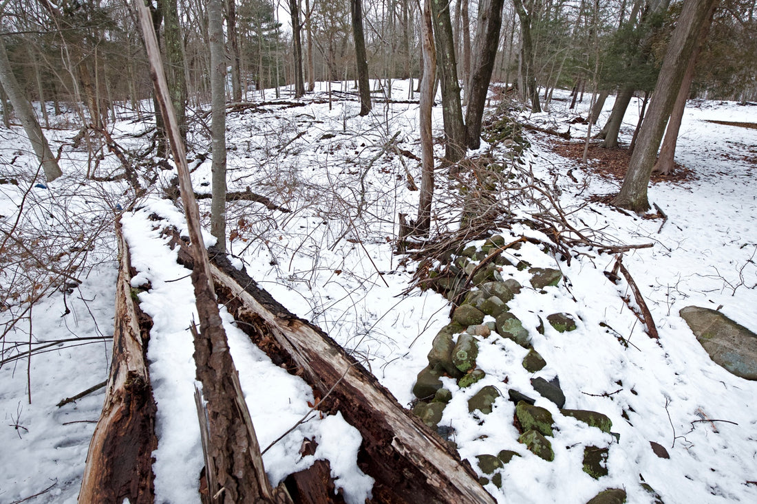 Stone wall in Woodbridge, CT