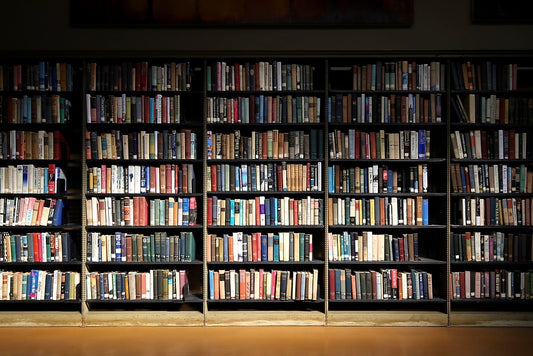 Summer sun hits the Study Room at the Institute Library.