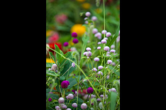 Unsecret Garden