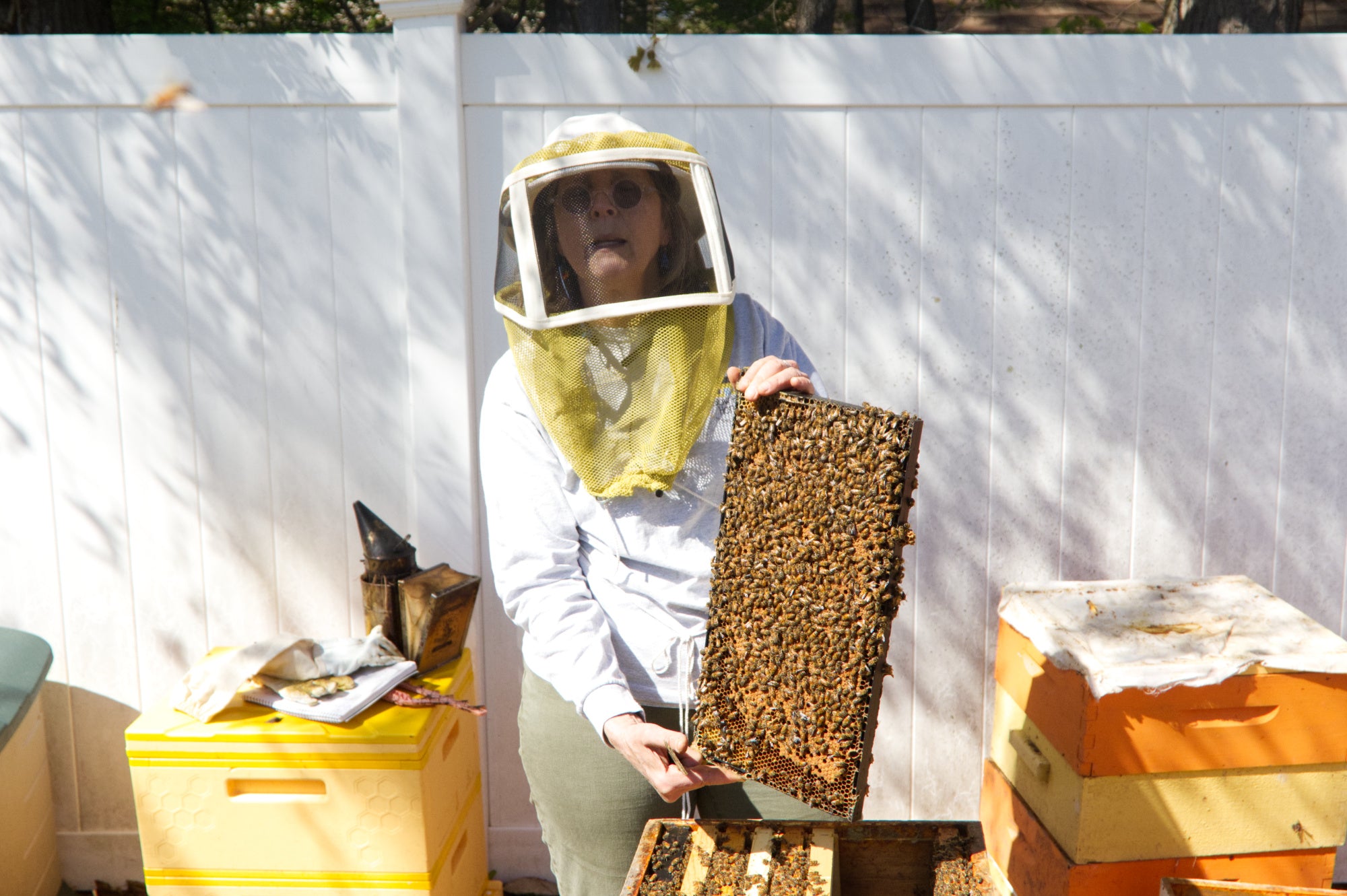 Bee Behind Bee Queen – Daily Nutmeg