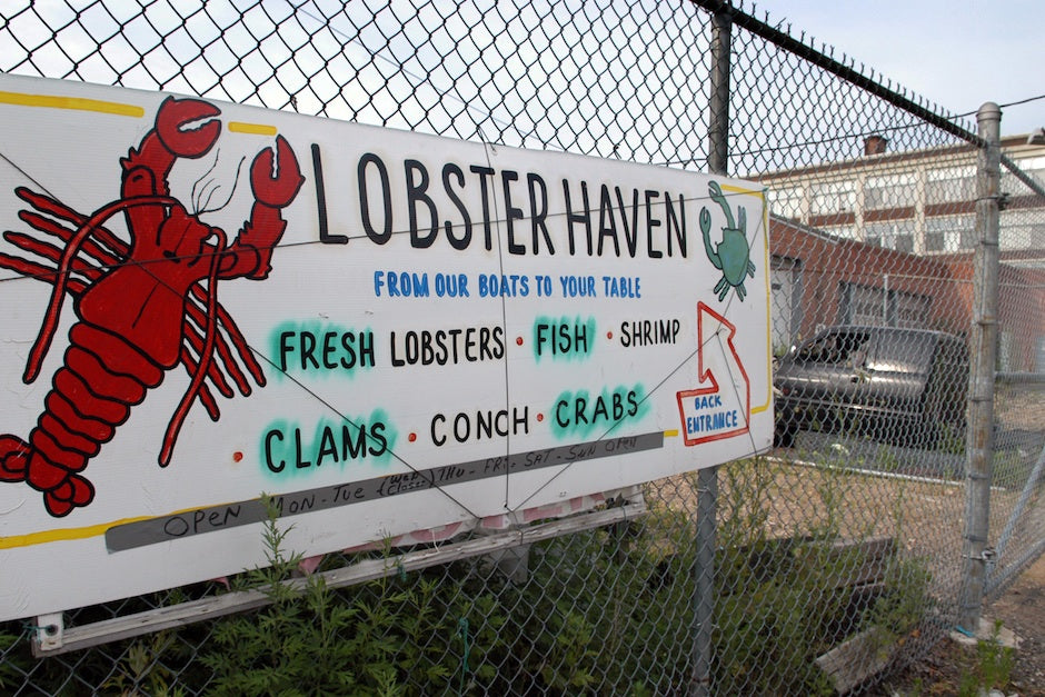 Lobster Haven