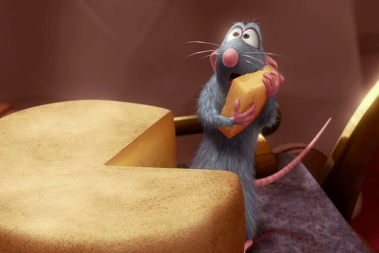 Ratatouille at Yale Peabody Museum