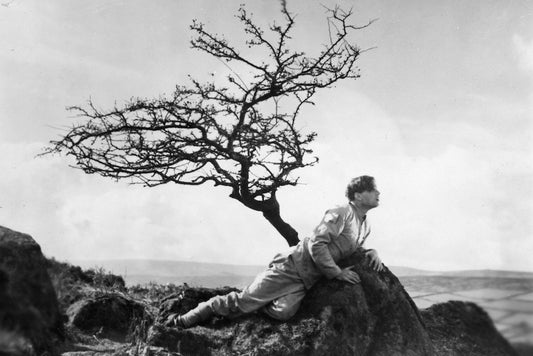 A Cottage on Dartmoor