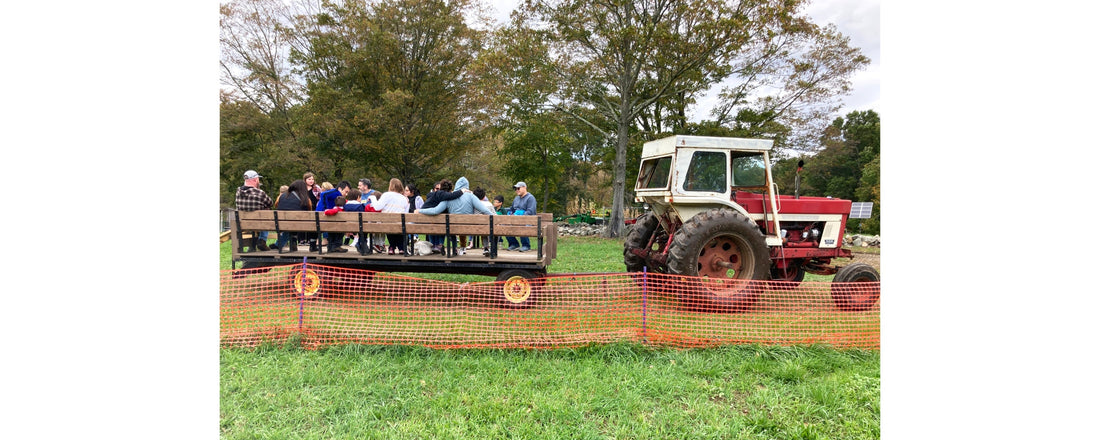 This Week in New Haven (September 22 - 28)