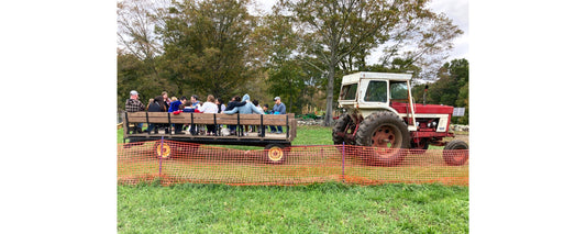 This Week in New Haven (September 22 - 28)